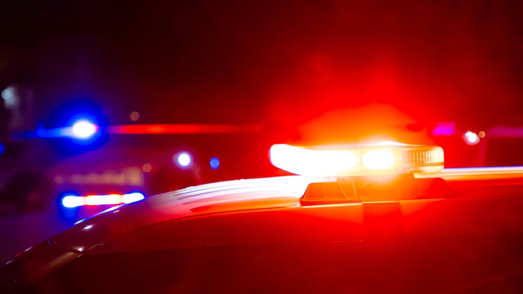 Driver killed in head-on collision with semi in central Minnesota — Blaine Sports news