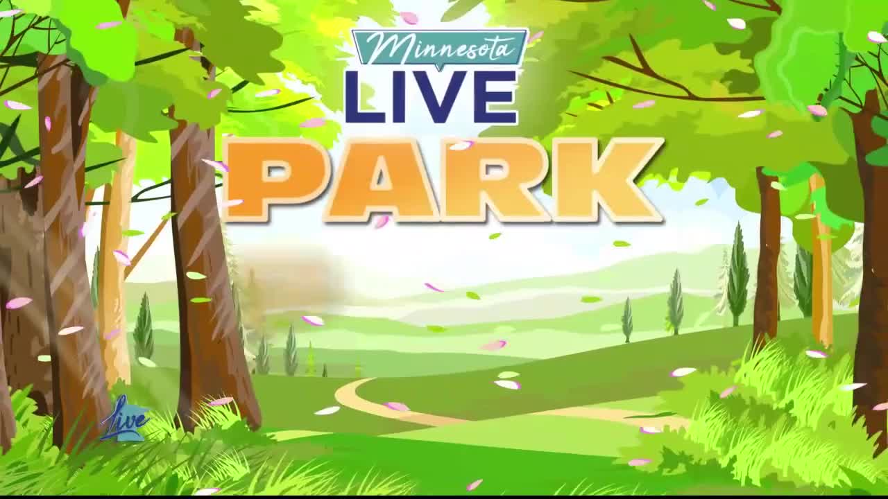 Park Picks: Cuyuna Country State Recreation Area — Blaine Sports news