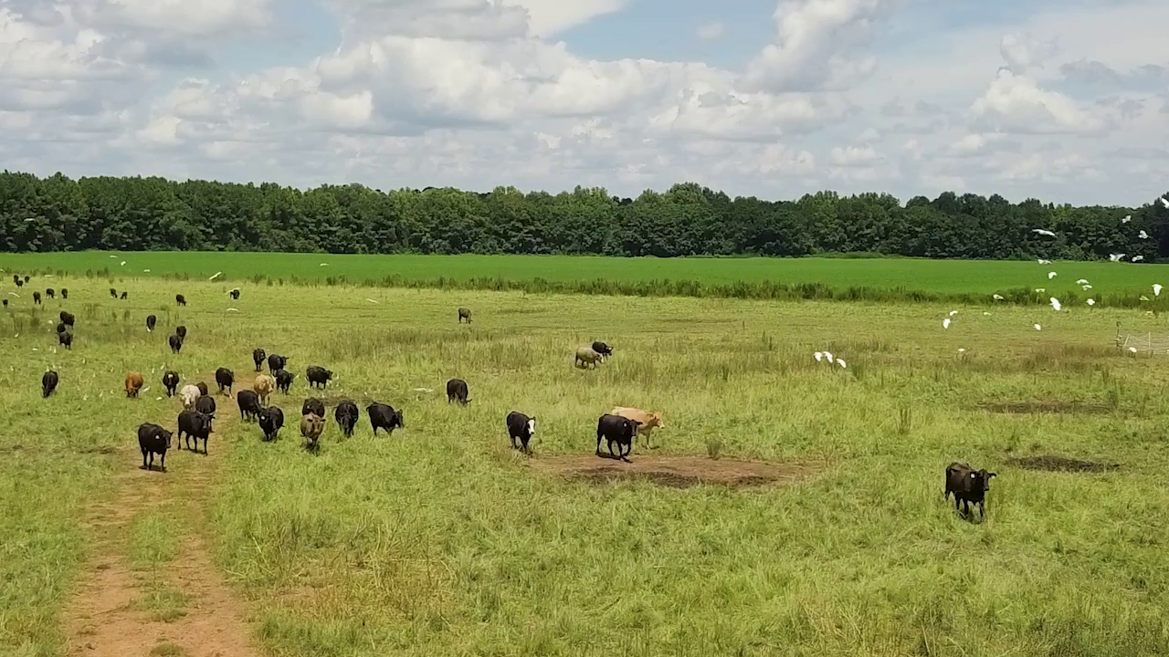 5 ON YOUR SIDE: Regenerative agriculture — Blaine Health news