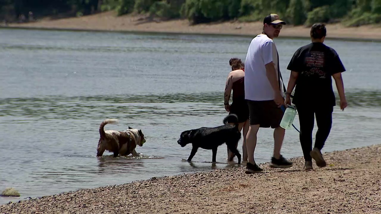 Minnehaha Dog Park ending off-leash use in December despite public outcry — Blaine Community news